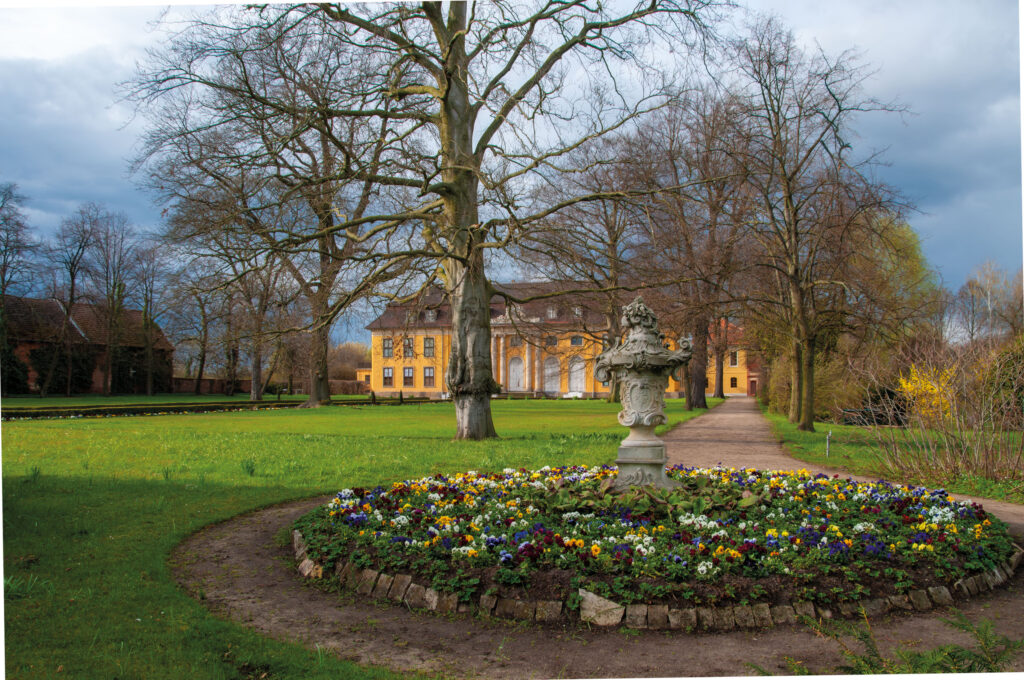Schloss Mosigkau, gelbes Gebäude im Hintergrund hinter kahlen Bäumen, im Vordergrund runde Blumenrabatte mit Frühlingsblühern und steinerne Zierurne auf Sockel
