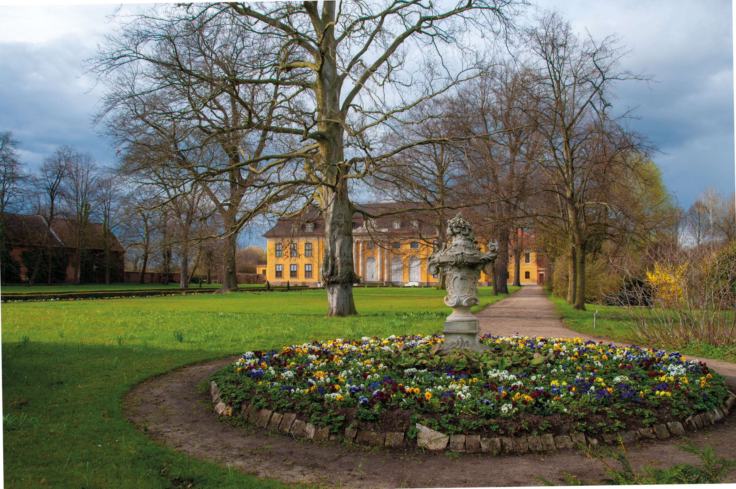 Château de Mosigkau, bâtiment jaune derrière des arbres dénudés, avec un parterre circulaire de fleurs printanières et une urne de pierre sur un socle au premier plan